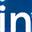 Icona LinkedIn